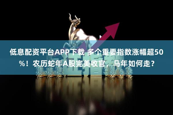 低息配资平台APP下载 多个重要指数涨幅超50%！农历蛇年A股完美收官，马年如何走？